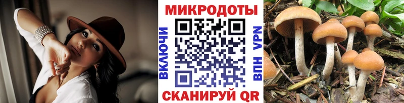 Псилоцибиновые грибы Psilocybe  МЕГА ссылка  Сенгилей 