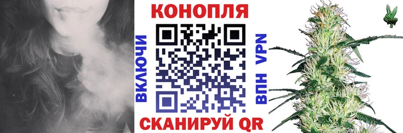 Конопля тримм  где найти   mega   Сенгилей 
